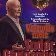 Tudor Gheorghe - Valsurile mele